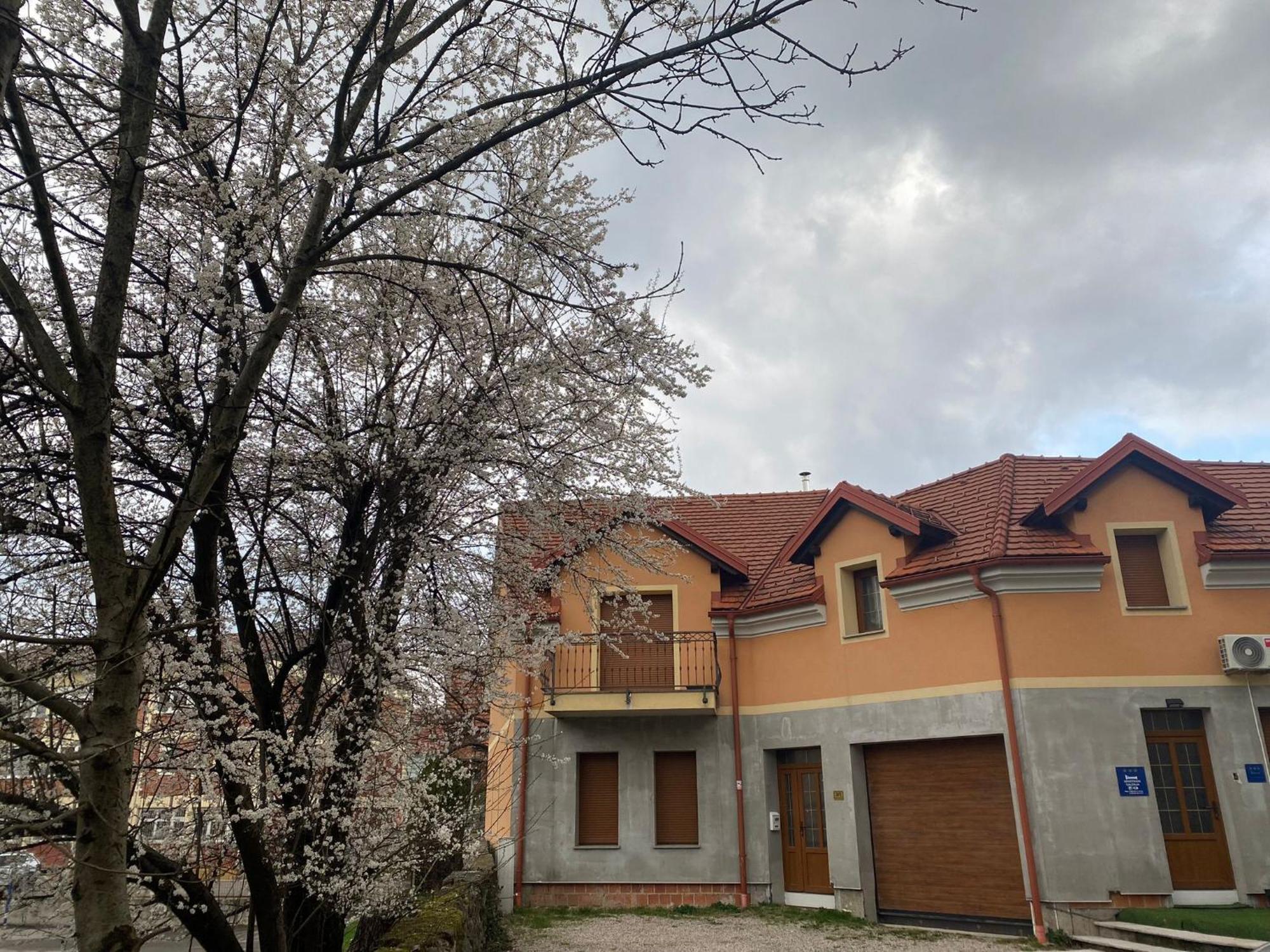 Apartman Galerija Огулин Экстерьер фото
